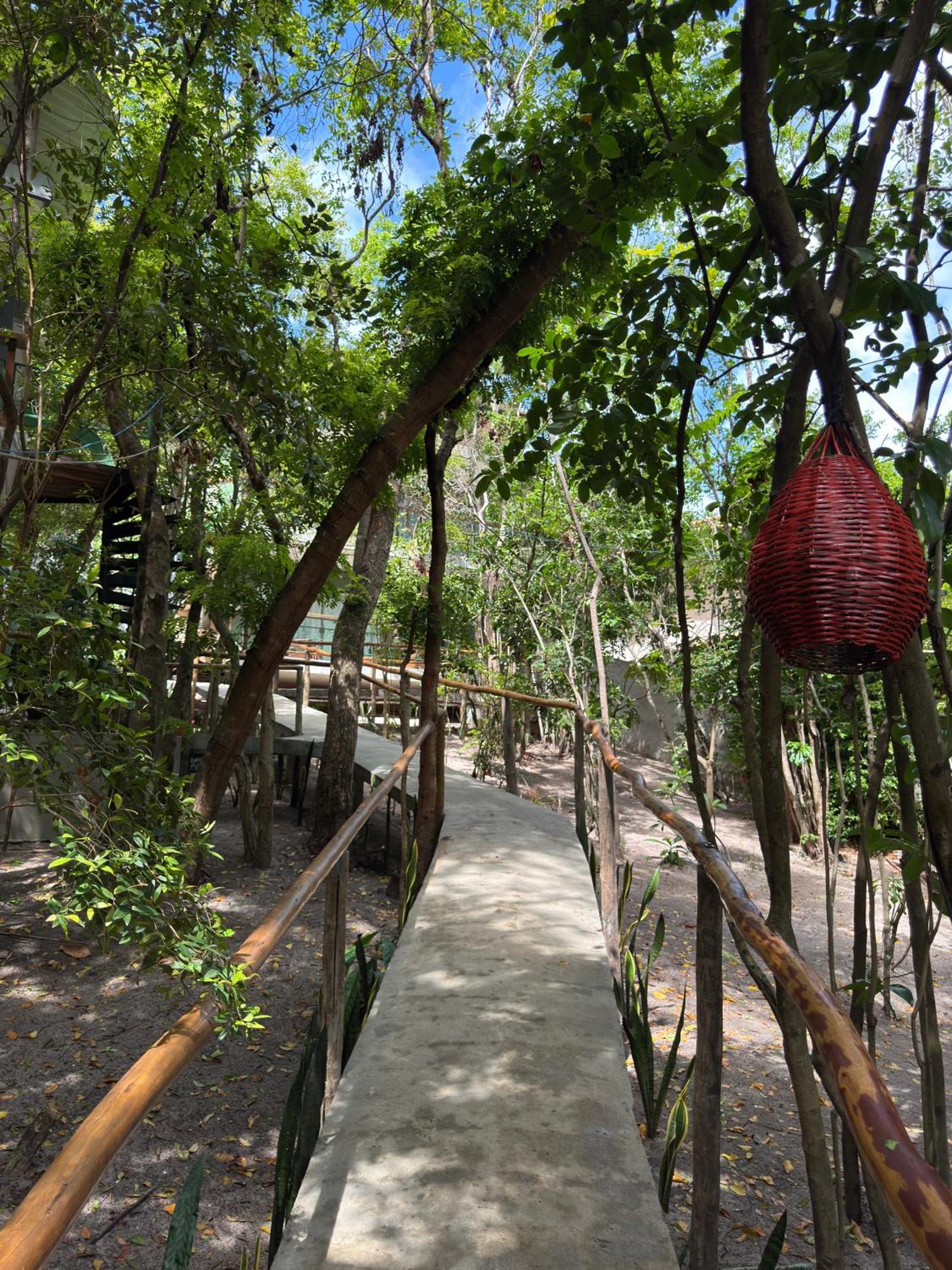Ninhos Da Pipa Villa Praia de Pipa Exteriör bild